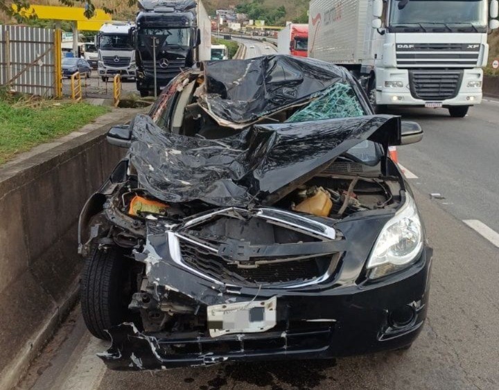 Carro atropela dois cavalos na Via Dutra, em Barra Mansa