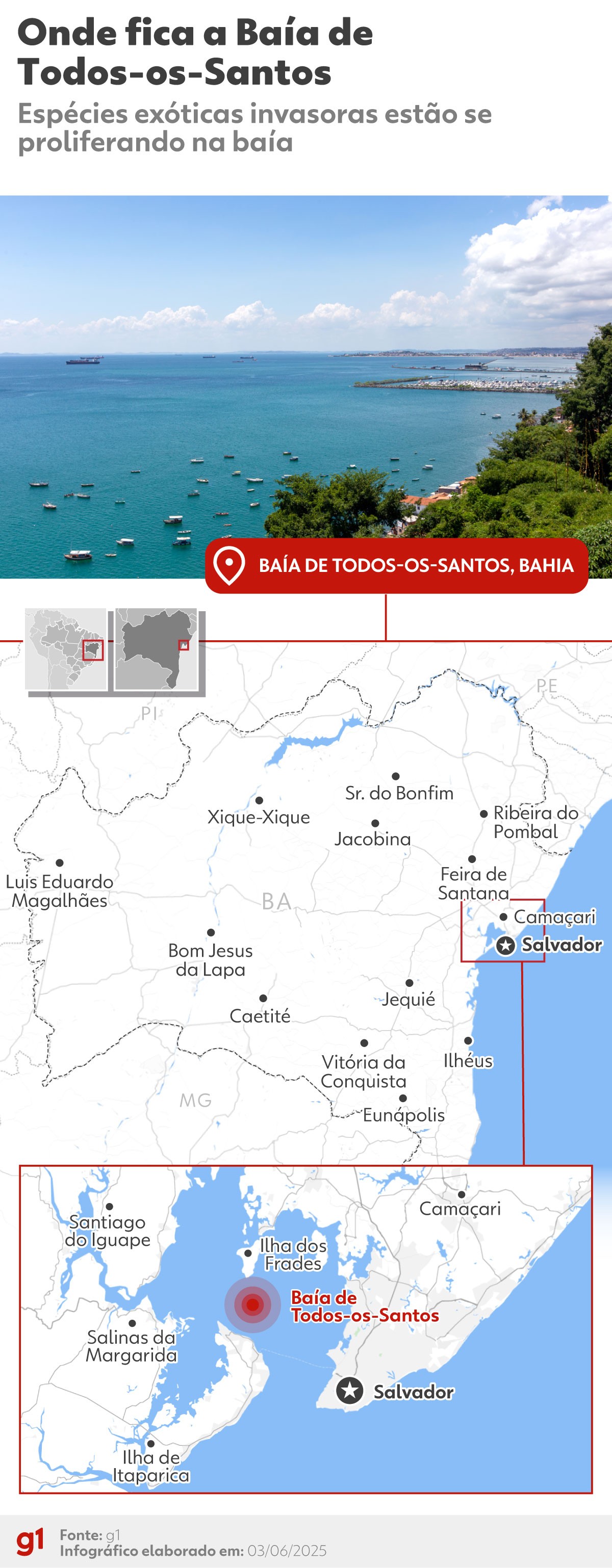 'Invasão silenciosa': mais de 30 espécies exóticas ameaçam equilíbrio da Baía de Todos-os-Santos