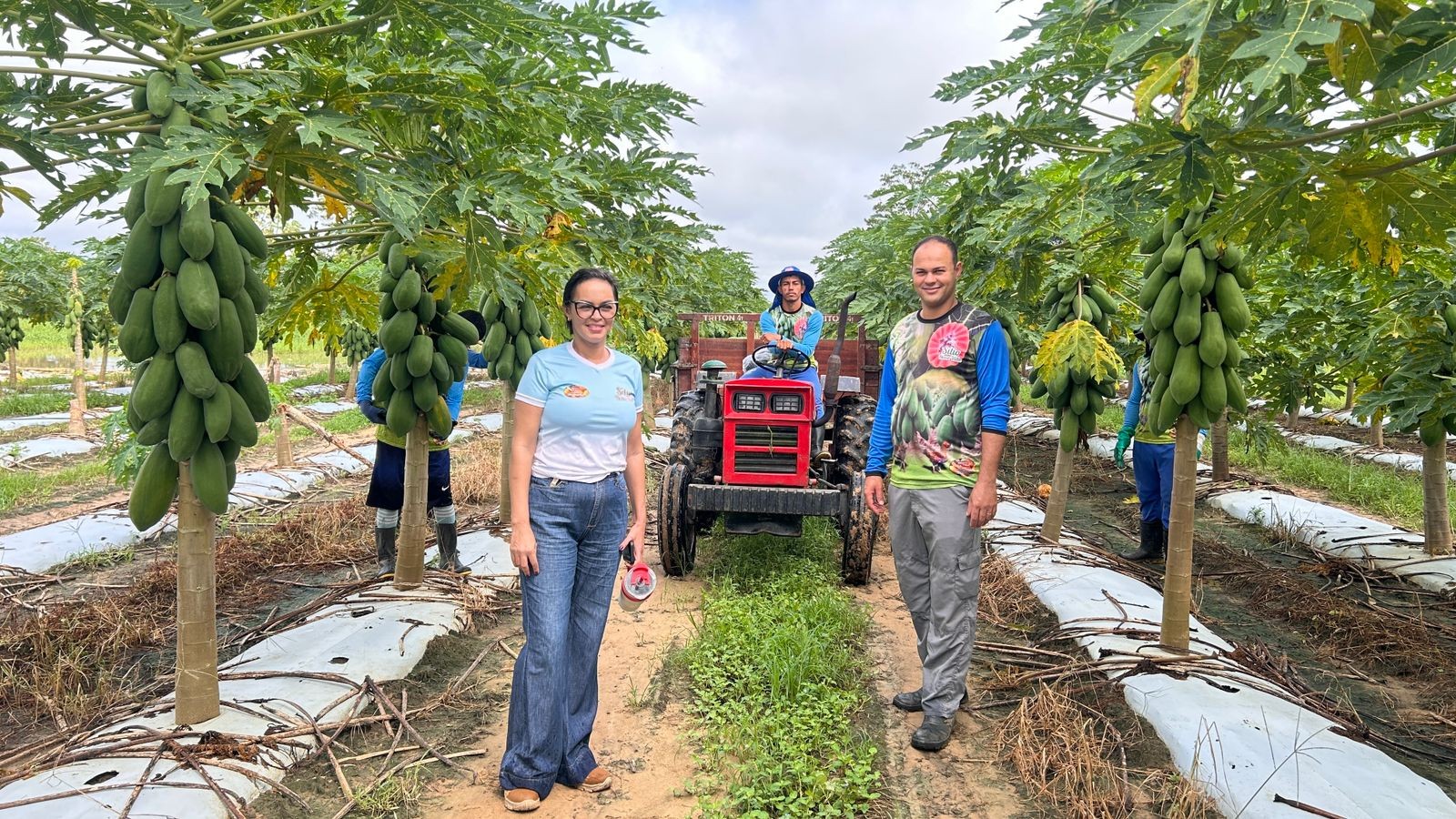 Visita Técnica do Sebrae no Sítio Nova Vida em Mâncio Lima — Foto: Sebrae/AC
