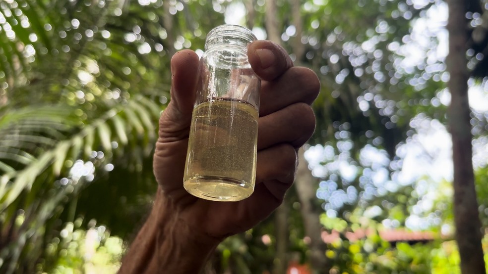 Série mostra a importância das abelhas e a produção do mel no Acre — Foto: Reprodução Rede Amazônica
