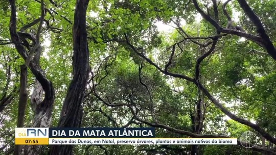 Dia da Mata Atlântica: Parque das Dunas preserva fauna e flora do bioma - Programa: Bom Dia RN 