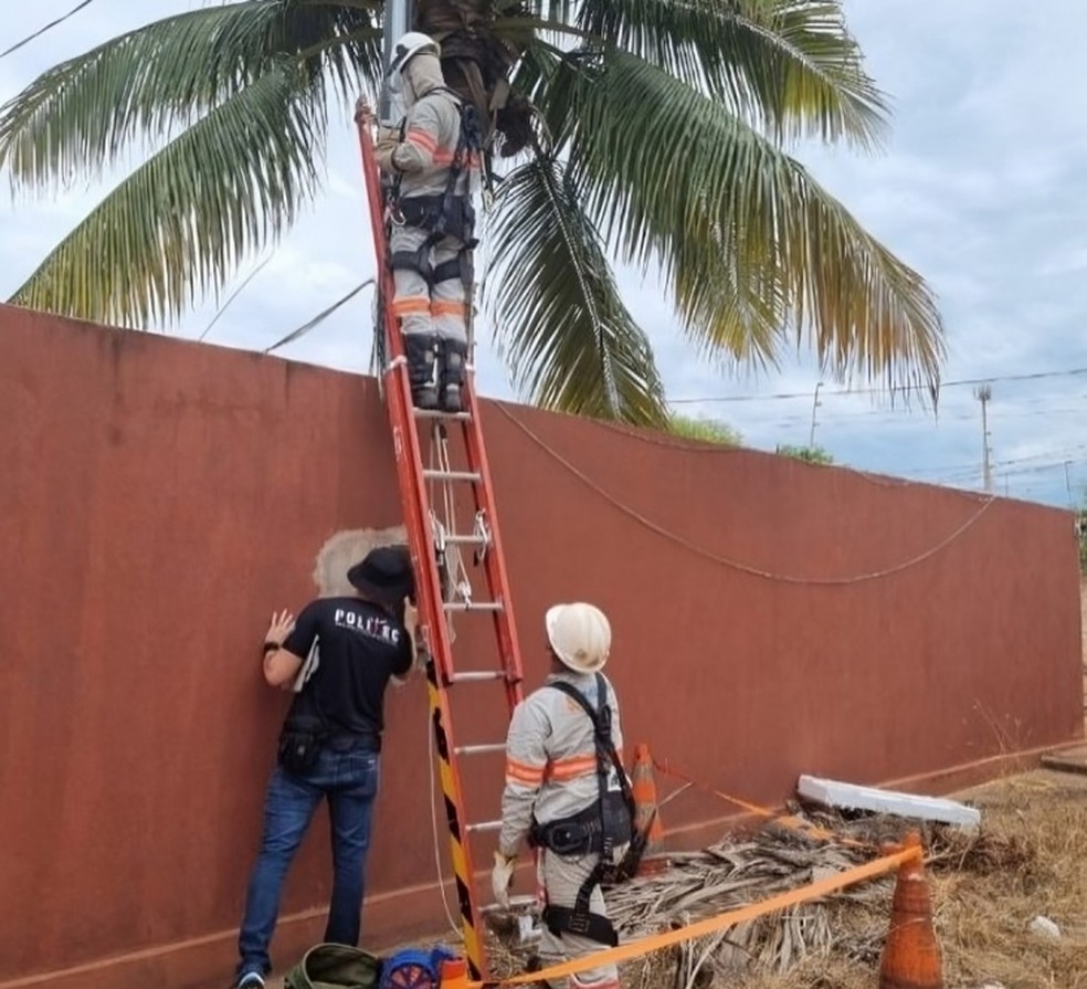 Até o momento, mais de 100 locais estão sendo monitorados pelo núcleo de inteligência da Energisa — Foto: Divulgação