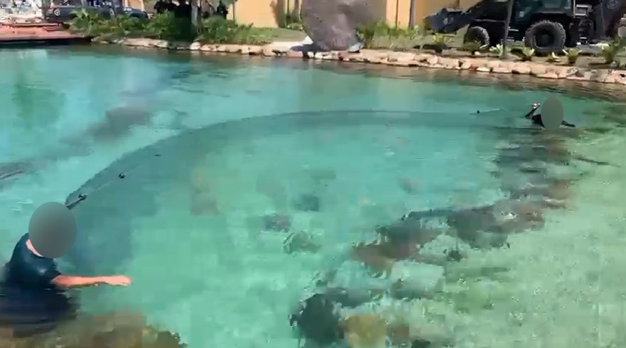 VÍDEO: 'resort' do crime é demolido e peixes do lago artificial do traficante Peixão são resgatados