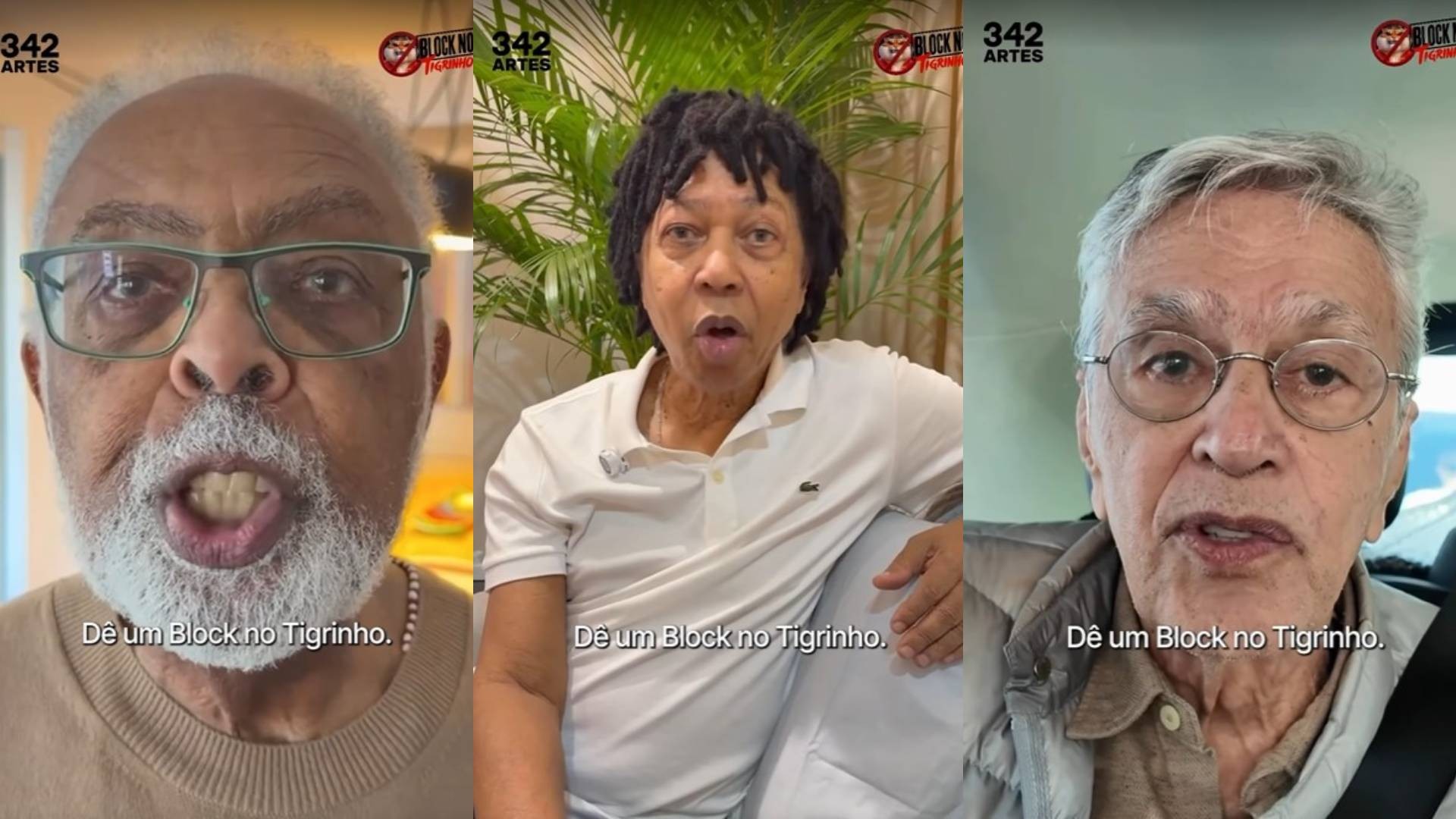 Gilberto Gil, Djavan, Caetano Veloso e mais artistas participam de campanha contra 'jogo do tigrinho'