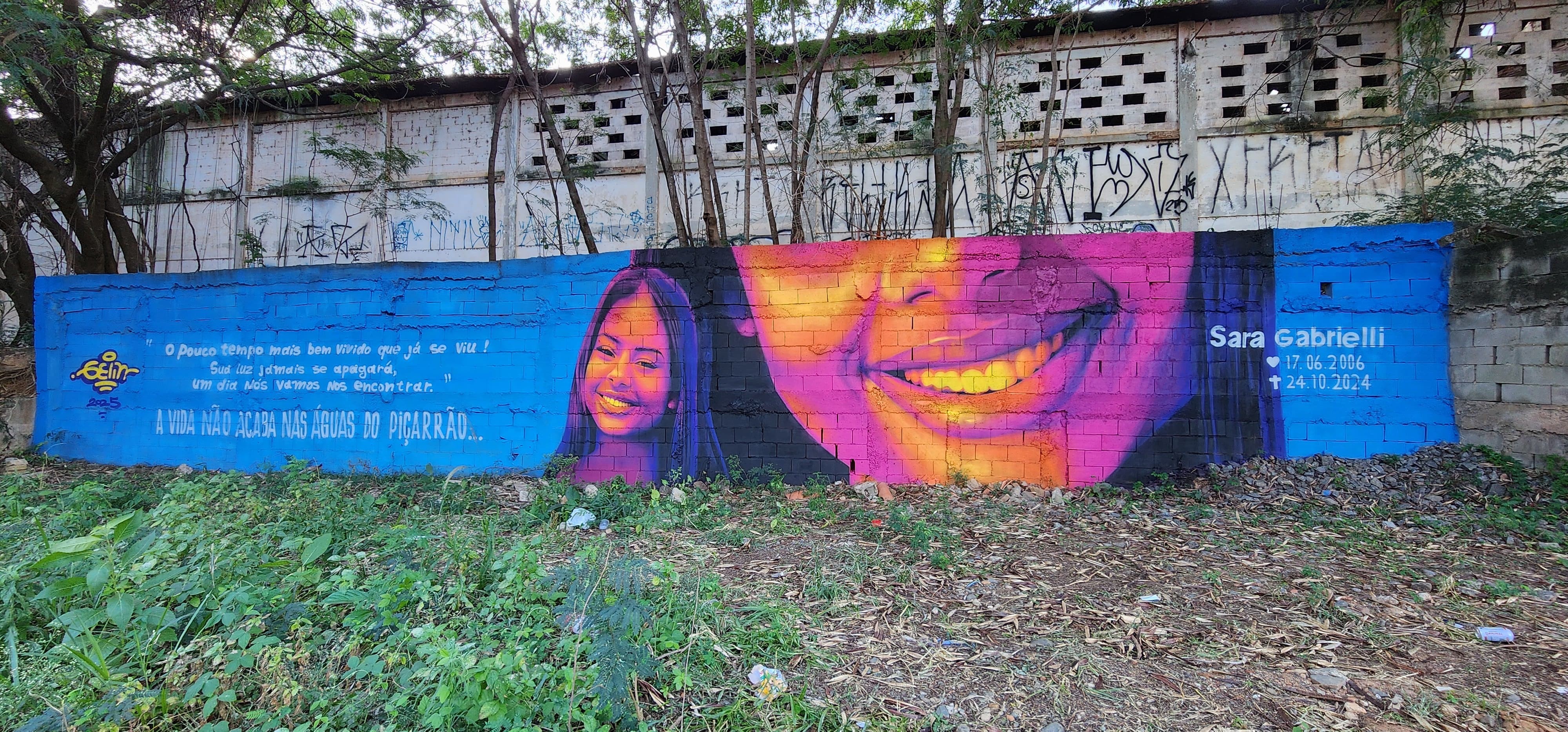 ‘A arte tirou a dor daquele lugar’: mãe de jovem que morreu ao ser arrastada por enxurrada fala sobre homenagem em grafite