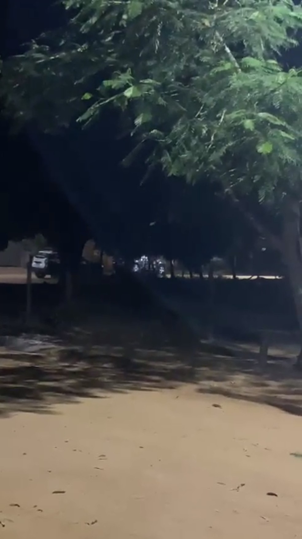 Outros dois suspeitos que fugiram foram encontrados pelas equipes e encaminhados para a delegacia — Foto: Reprodução