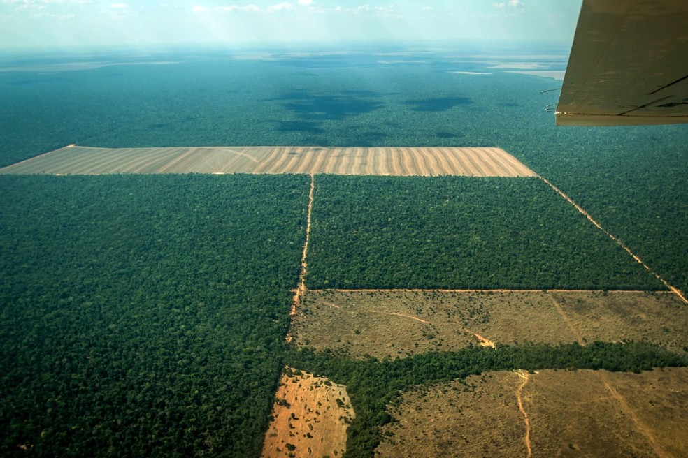 Área de desmatamento ilegal em MT — Foto: Sema/MT
