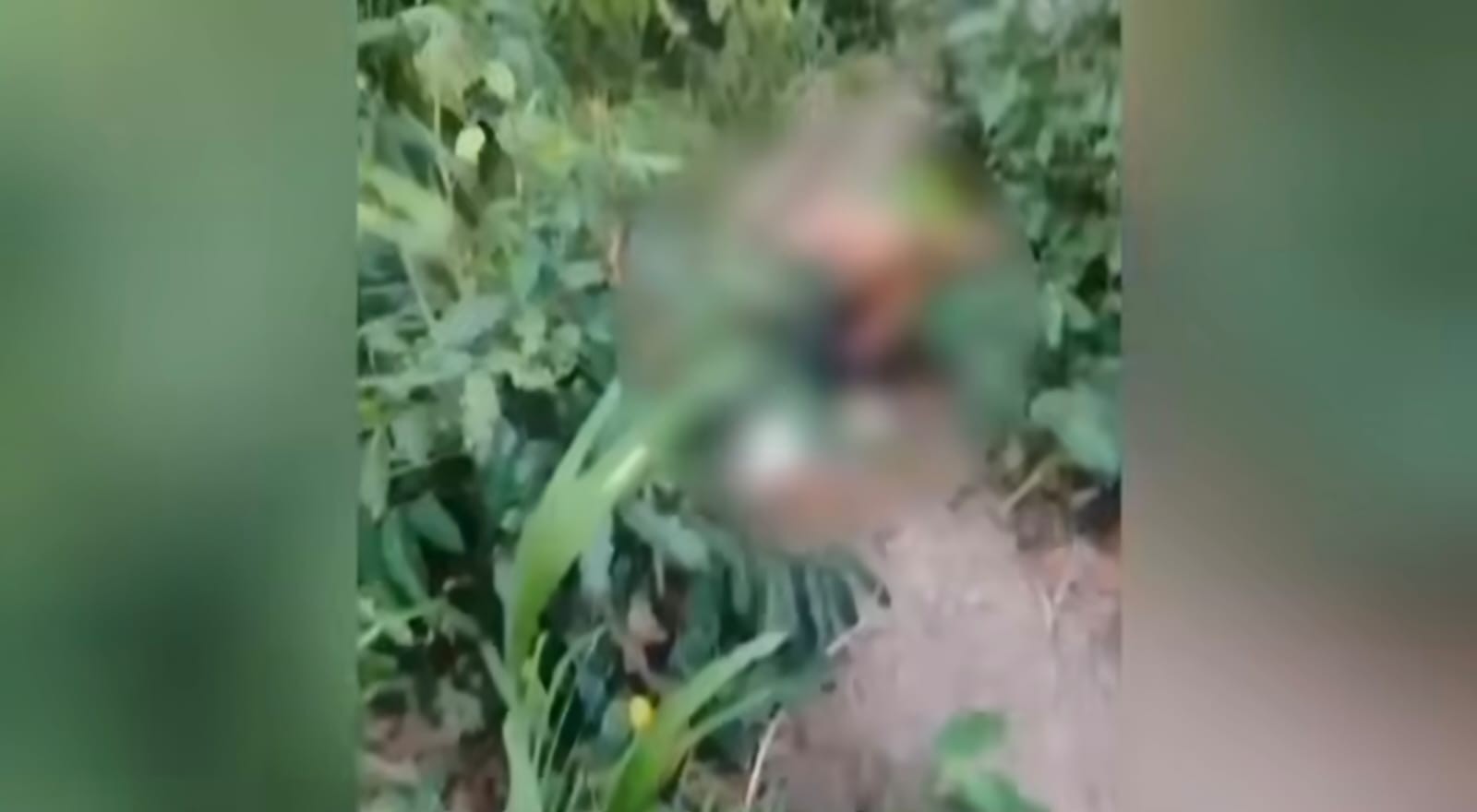 Homem usando tornozeleira eletrônica é morto a facada durante bebedeira em Alenquer