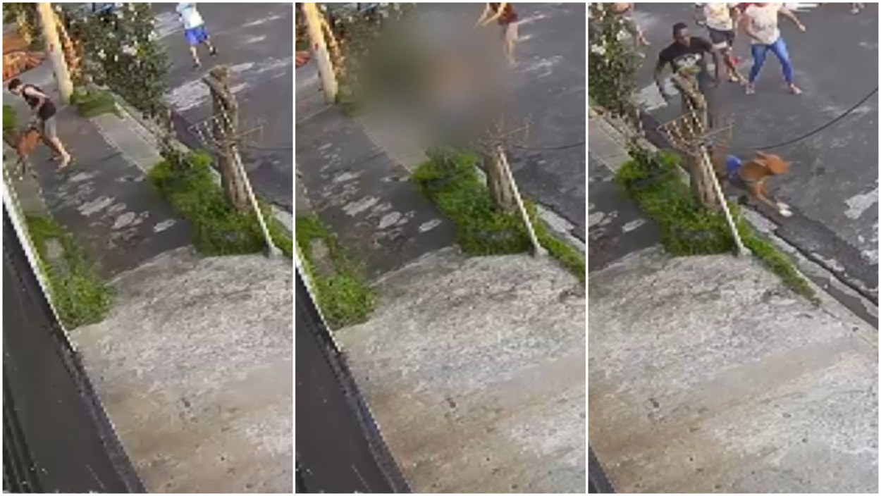 VÍDEO: menino de 12 anos fica gravemente ferido após ataque de pitbull no interior de SP