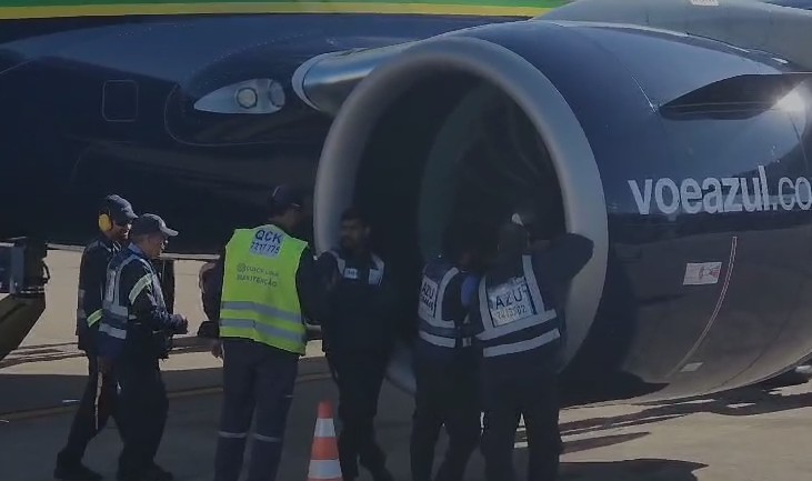 Avião da Azul bate em pássaro, e decolagem é interrompida; mais de 800 colisões com aves foram registradas no país em 2024