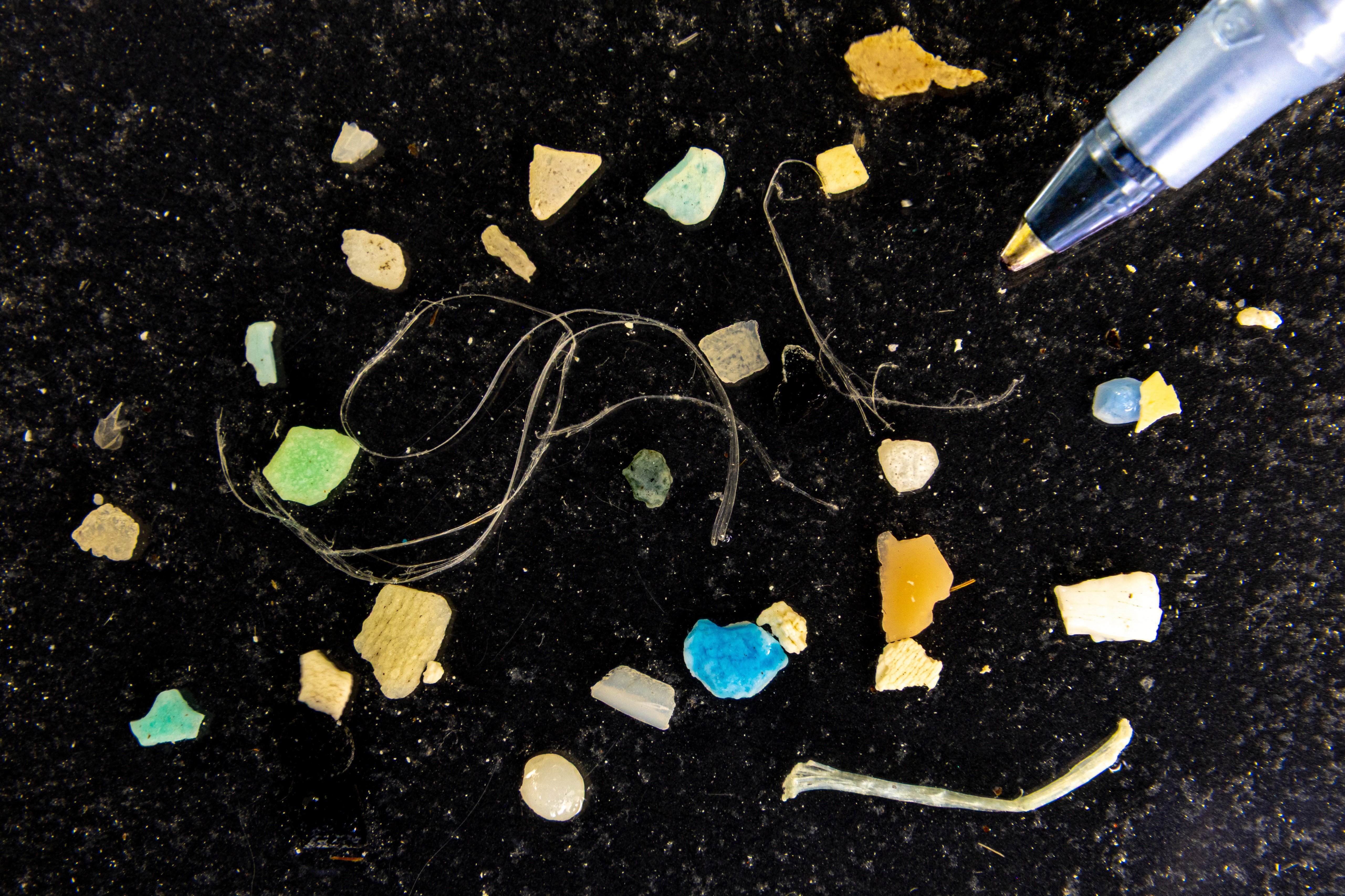 Inspirada em algas, 'rede' consegue capturar microplásticos de vários tamanhos na água