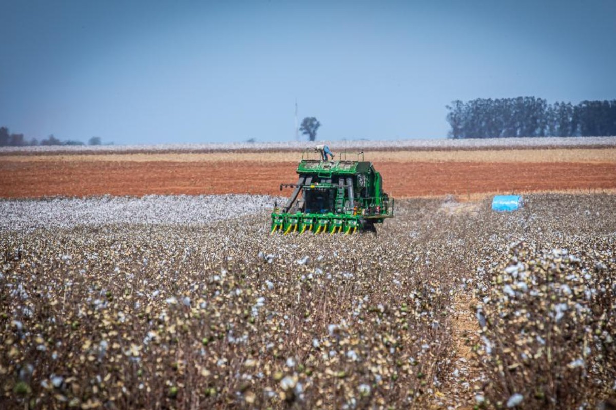 Prática fiscal de ICMS sobre fertilizantes é prorrogada até dezembro deste ano em MT