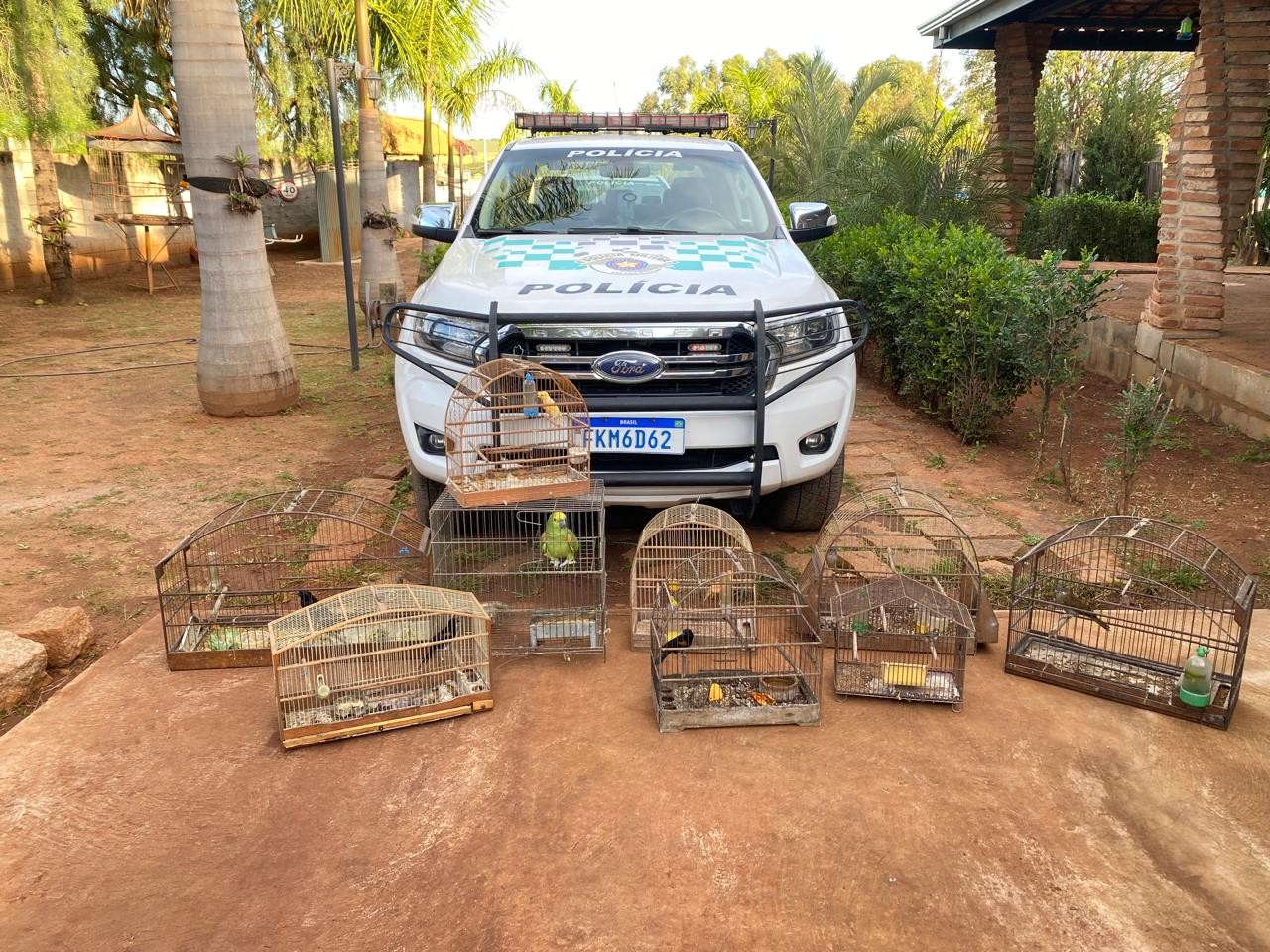Polícia apreende aves por maus-tratos e aplica multa de R$ 30 mil a homem em Hortolândia