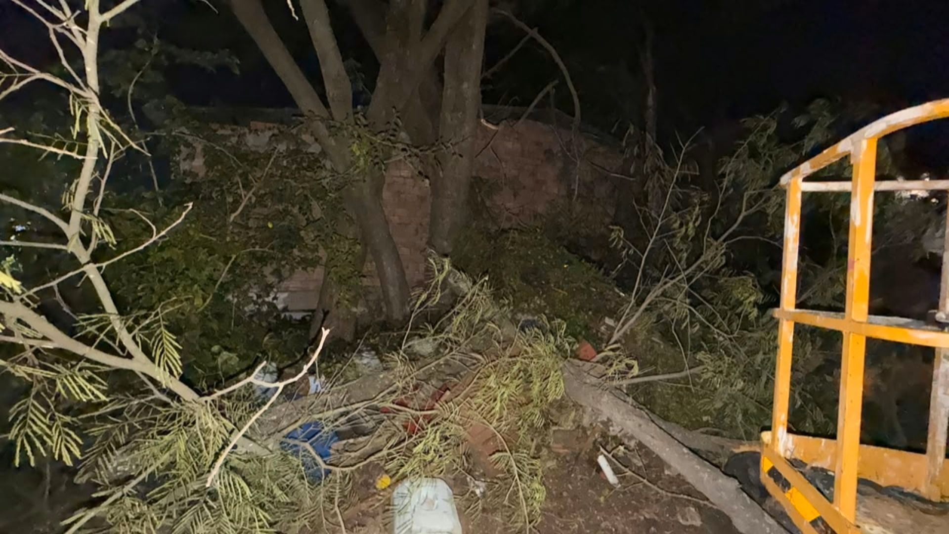 Vento derruba árvore sobre casa em Uruguaiana; prefeitura prepara plano contra temporal