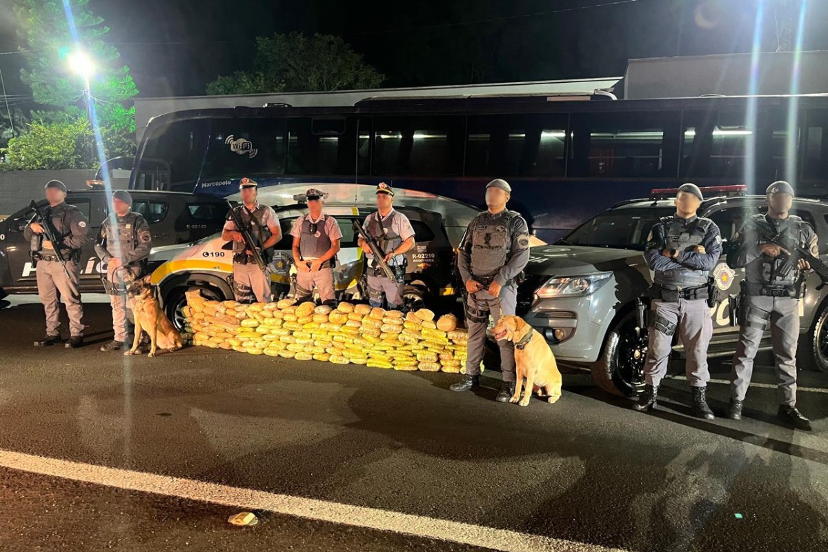 Polícia encontra quase 100 kg de skunk em fundo falso de ônibus e prende motorista no interior de SP 