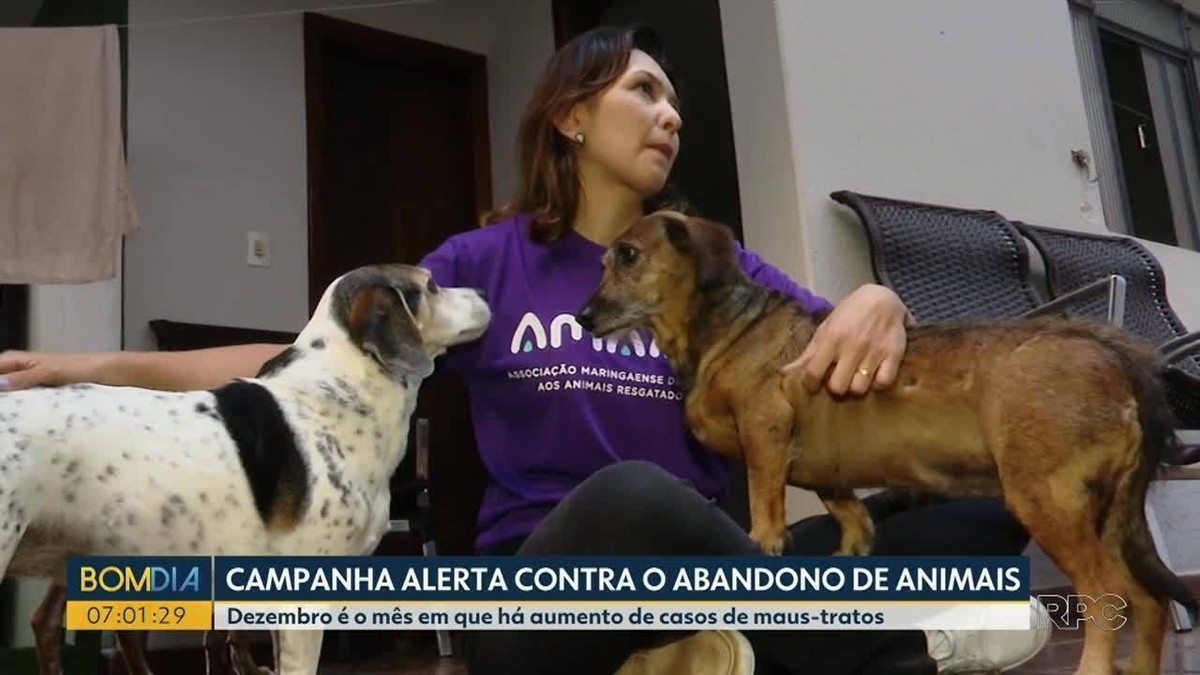 Jogos de Cuide de Animais na Creche no Meninas Jogos