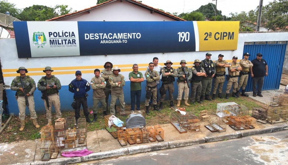 Policiais e fiscais fizeram o resgate dos animais silvestres — Foto: Naturatins/Governo do Tocantins