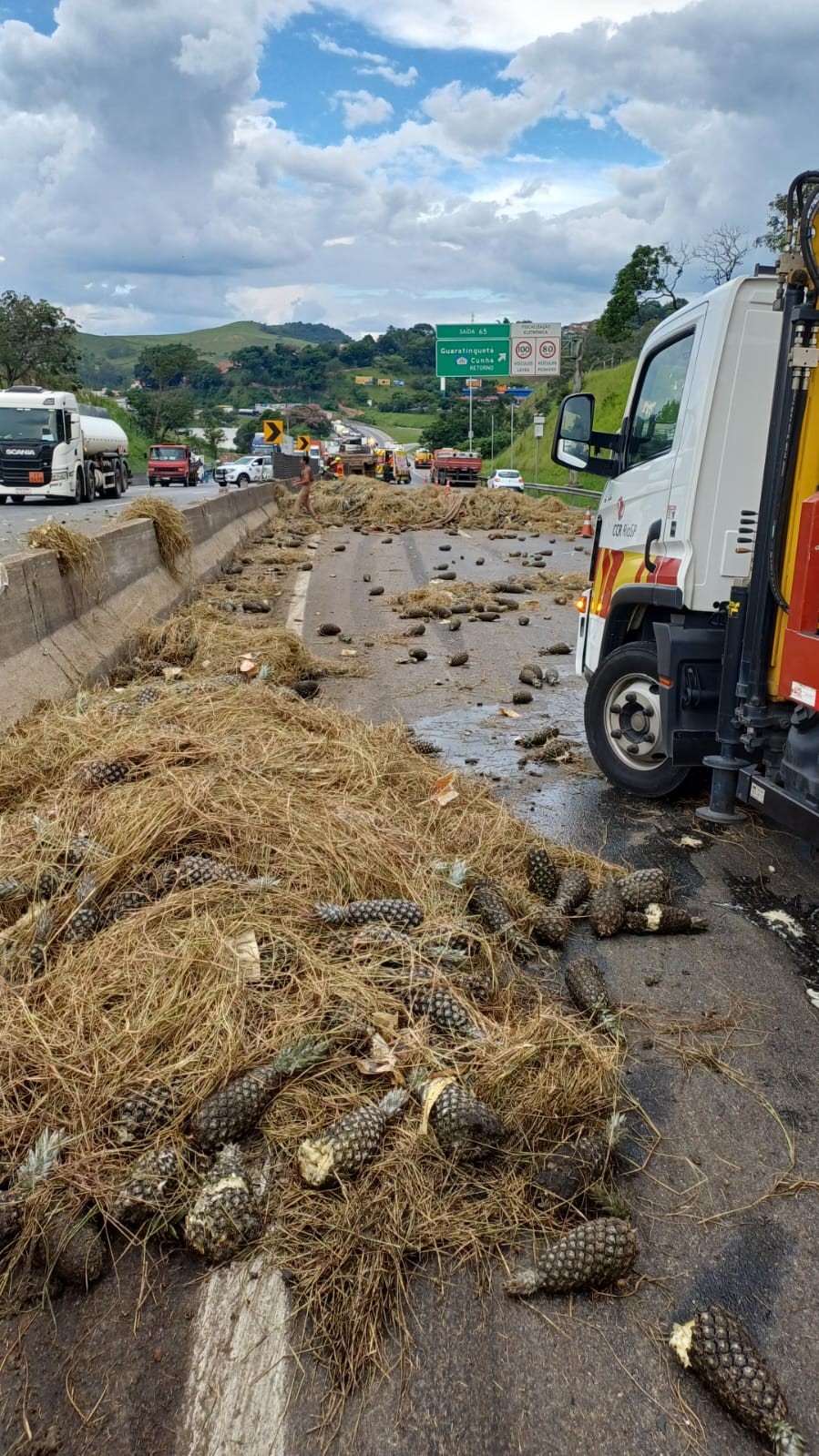 Caminhão carregado de abacaxis bate em mureta, derrama carga e deixa um ferido na Dutra, em Guaratinguetá