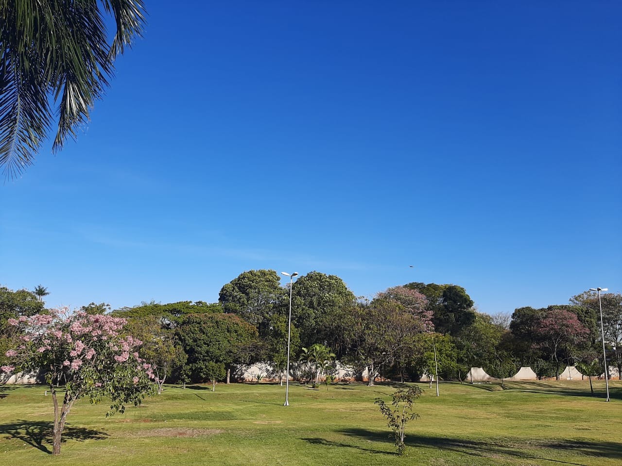 Aumento do calor pode provocar pancadas de chuva em MS; confira a previsão do tempo