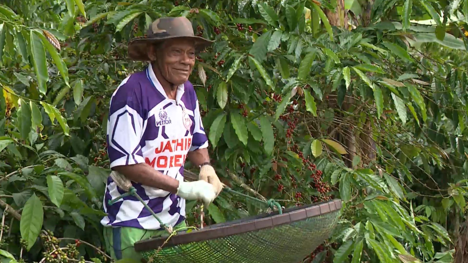 Produtor rural de 95 anos esbanja disposição para colher 8 sacas de café por dia e cuidar da roça no ES