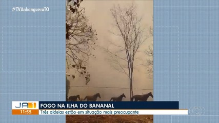 Queimadas atingem mais de 250 mil hectares na Ilha do Bananal