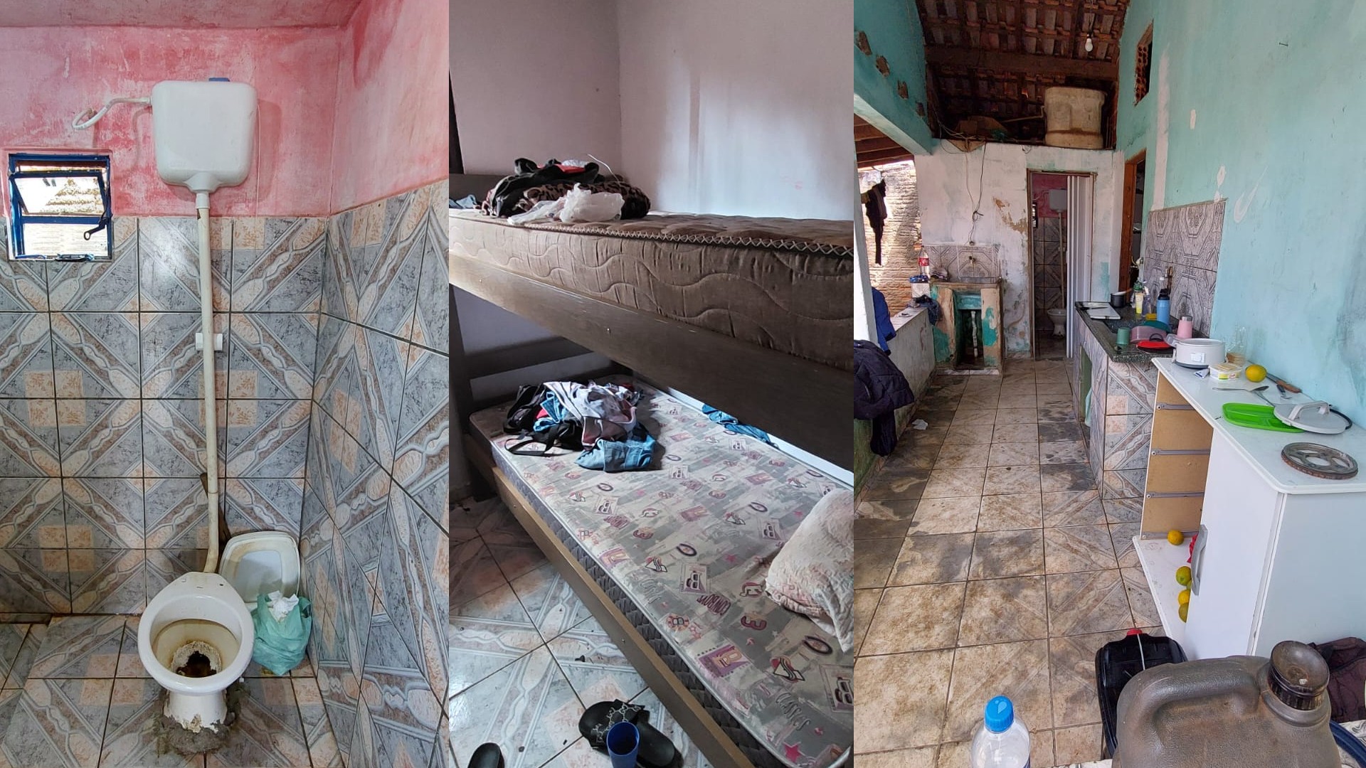 Trabalhadores são resgatados em condições análogas à escravidão em colheita de laranja no interior de SP