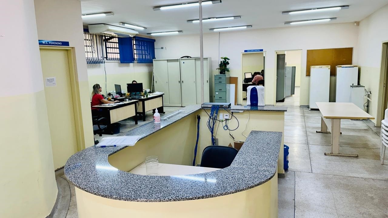 Piracicaba faz busca ativa após diagnosticar cão com esporotricose; entenda doença