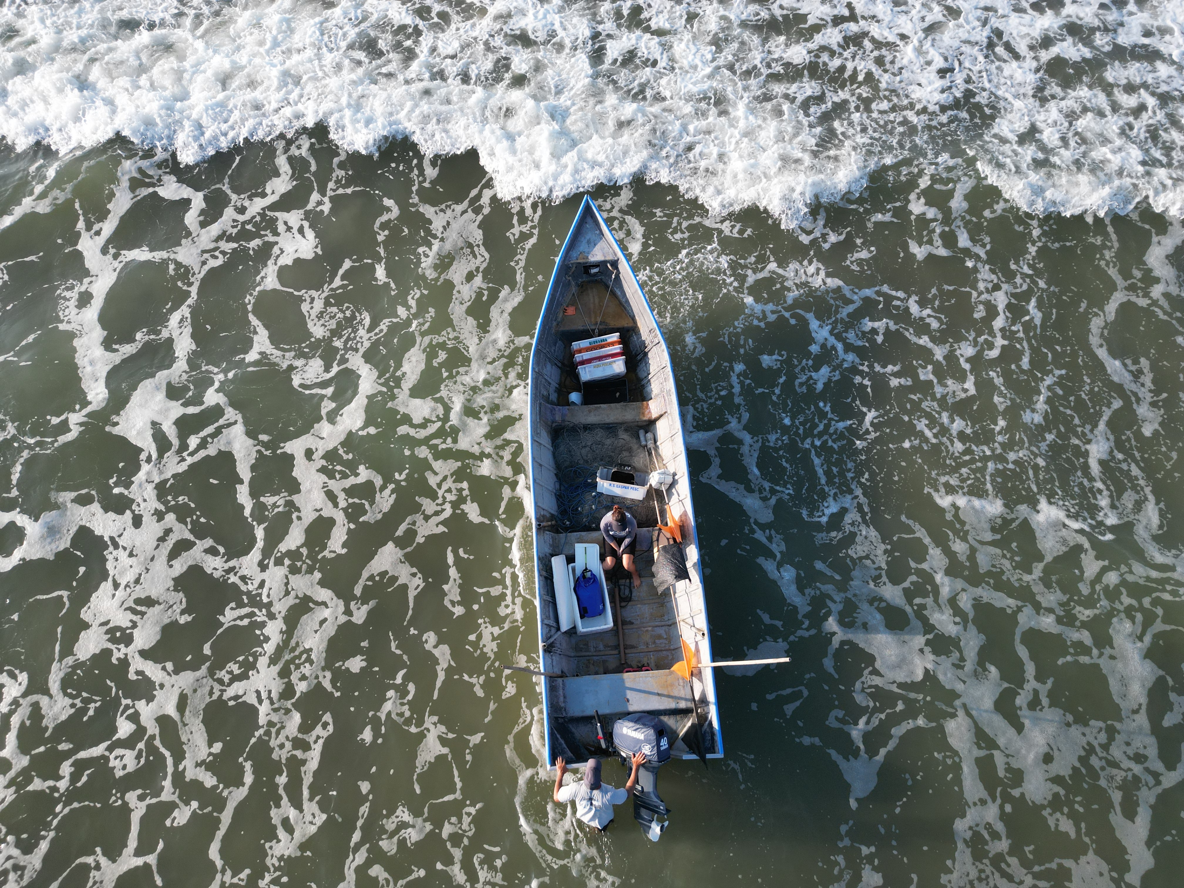 Alarmes acústicos em redes de pesca podem salvar toninhas da extinção, aponta estudo