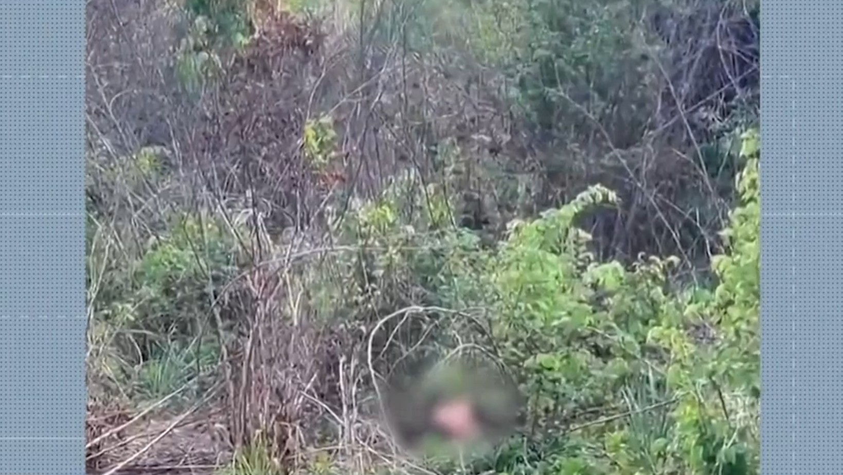 Corpo de homem é encontrado às margens da BR-316, em Timon, em estado avançado de decomposição