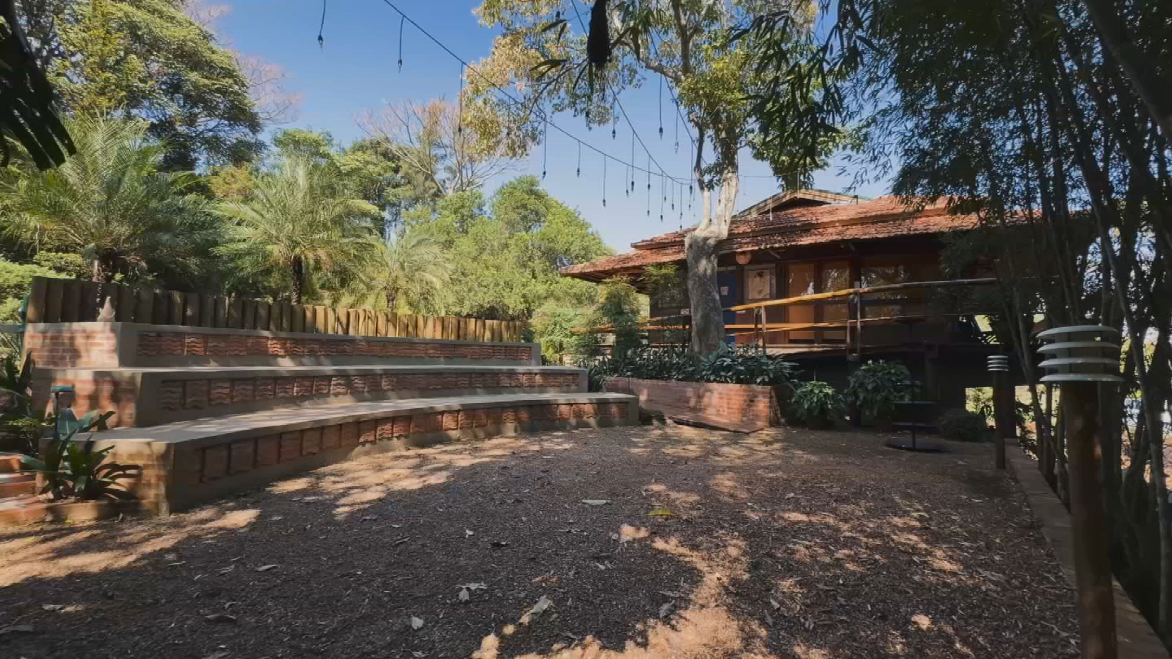 De pasto degradado a floresta viva: fazenda no interior de SP recupera 77% da área verde com mais de 130 mil árvores plantadas