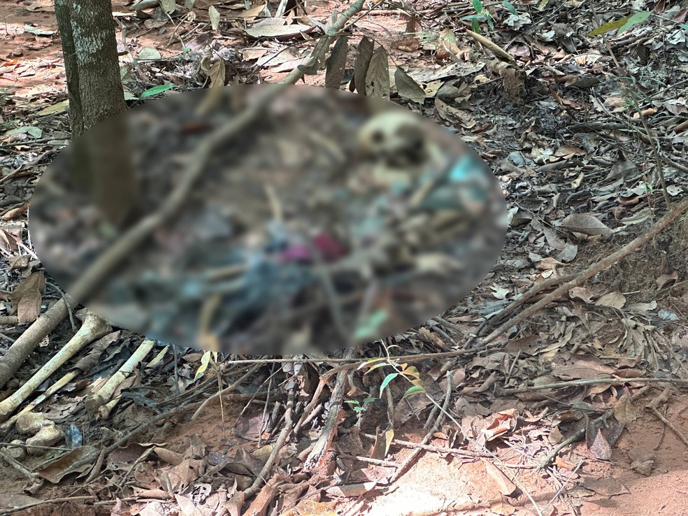 Ossada foi encontrada na região da Linha Celeste — Foto: Eduardo Ceará