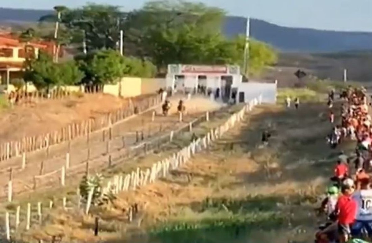 CETV 1ª Edição - Fortaleza, Ataque de abelhas mata cavalo e galinhas em  Juazeiro do Norte