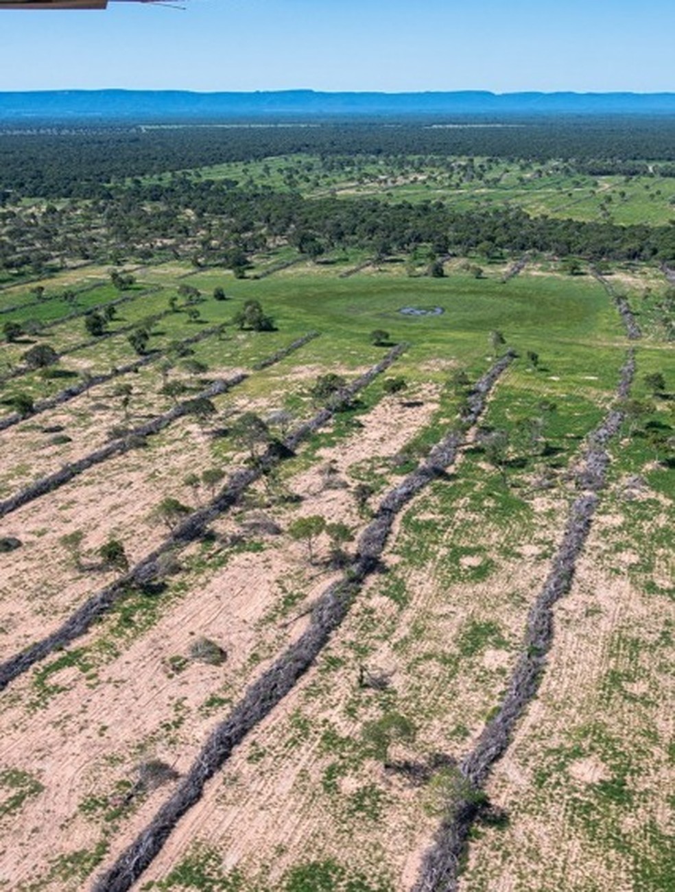 Nos ltimos quatro anos, foram desmatados mais de 120 mil hectares.  Foto: SOS Pantanal