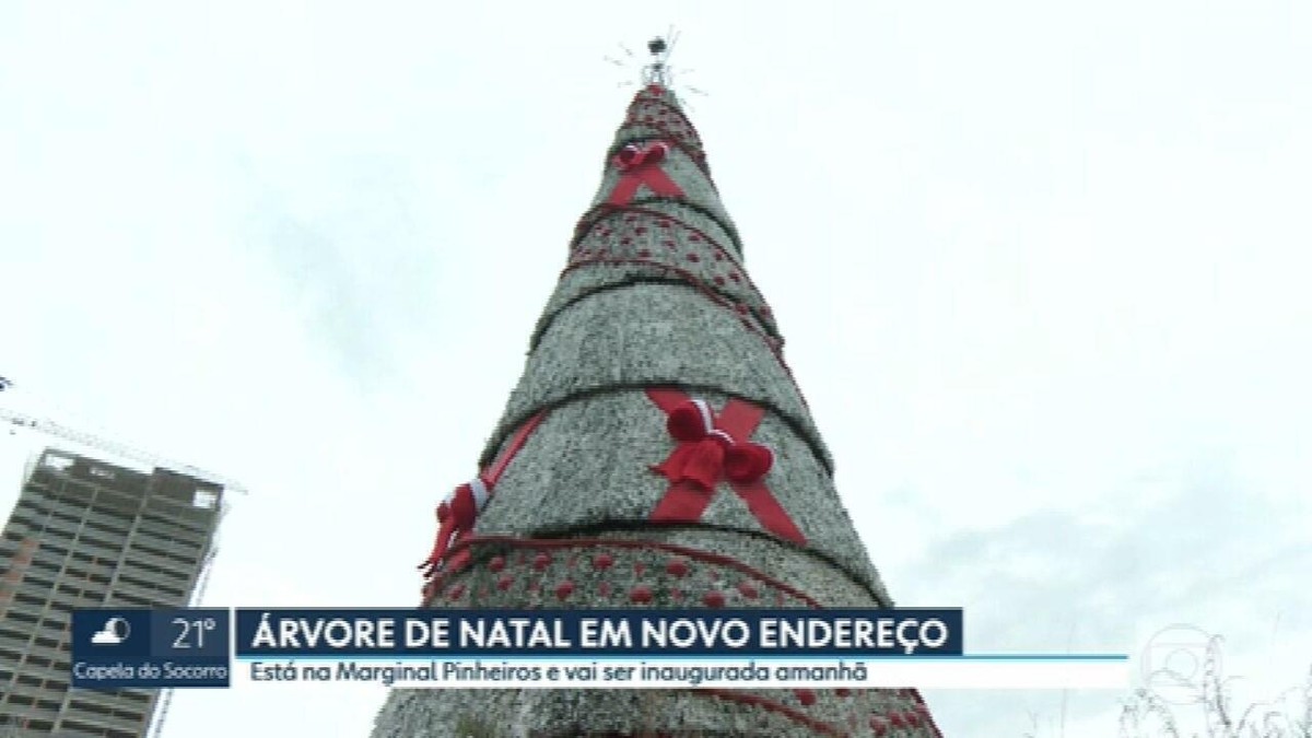 Com 57 metros, árvore de Natal do Ibirapuera é inaugurada e é a maior da  cidade de SP; entrada é gratuita, Guia SP