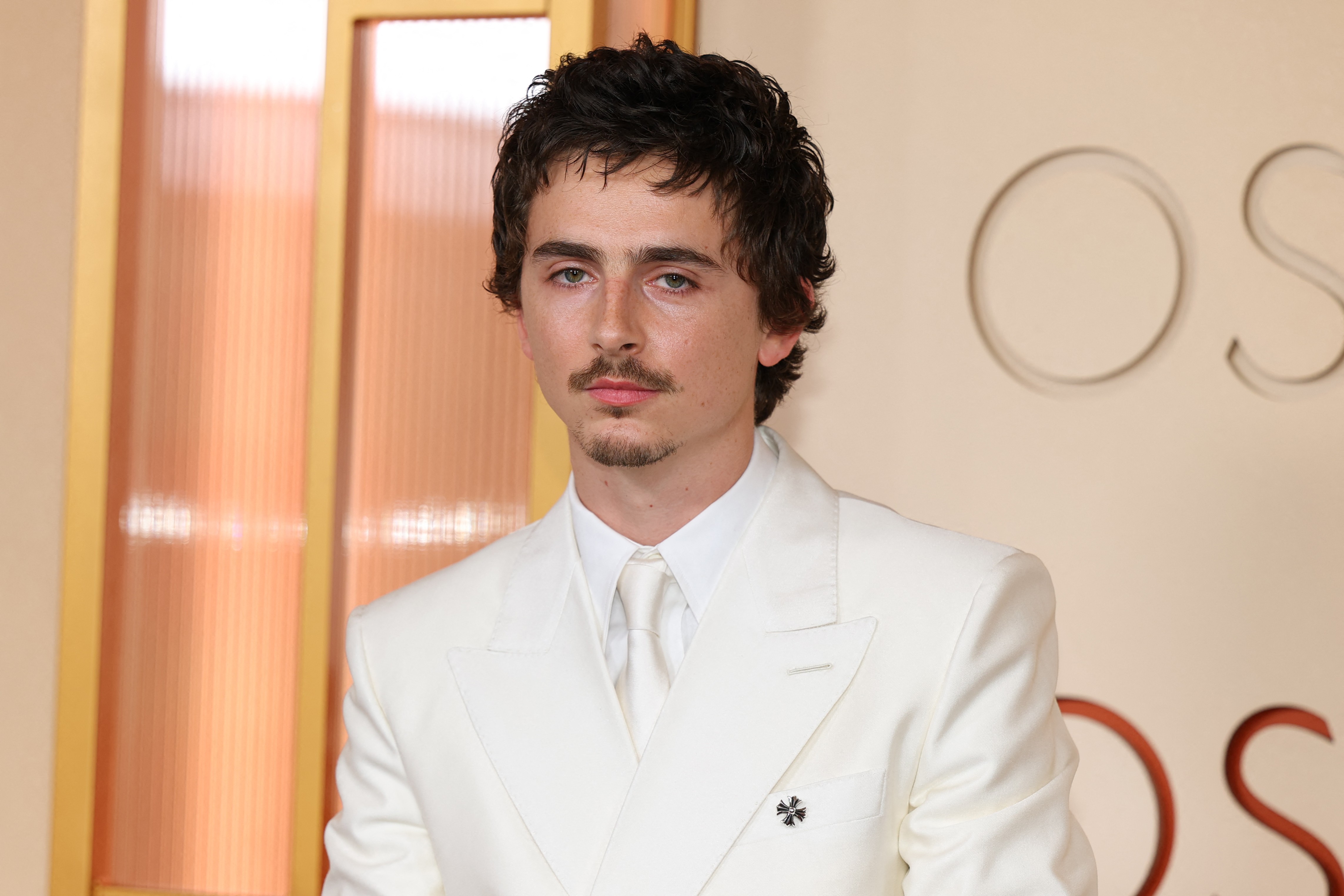 Foto não mostra Timothée Chalamet caindo no Oscar; imagem é de 2011