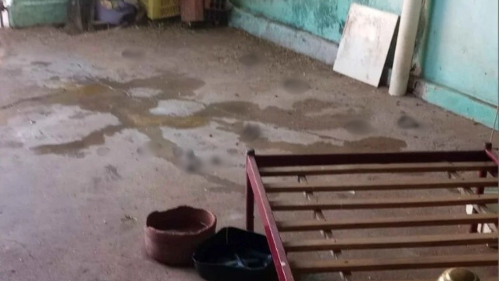 Mulher tem braço dilacerado após ser atacada por pitbull em canil clandestino de Birigui