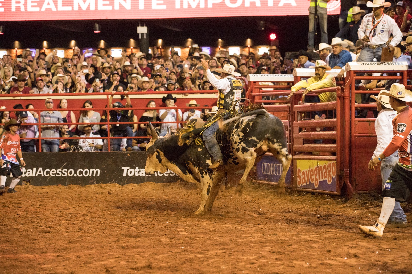 Barretos 2019: finais do Rodeio Internacional; FOTOS | G1