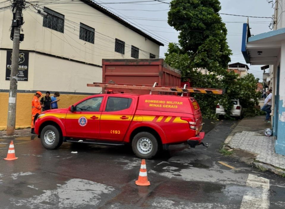 Árvore de grande porte cai sobre caminhão e carro no Centro de Montes Claros e trânsito é interditado