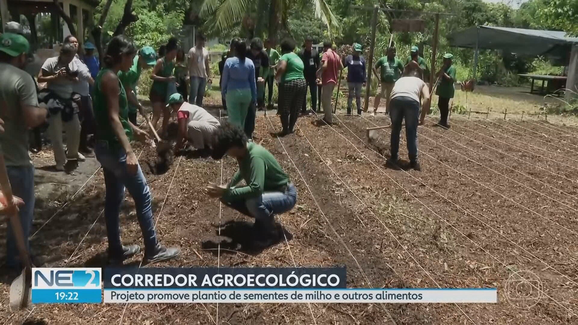 VÍDEOS: NE2 de terça-feira, 18 de março de 2025