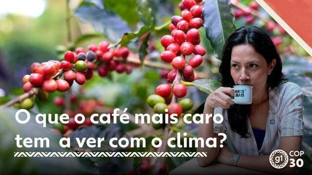 O que o café mais caro tem a ver com o clima?