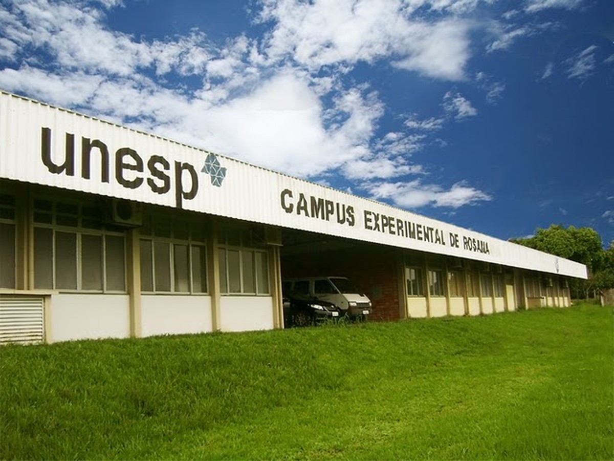 Unesp 2024: lista de aprovados em quinta chamada é divulgada; veja como consultar