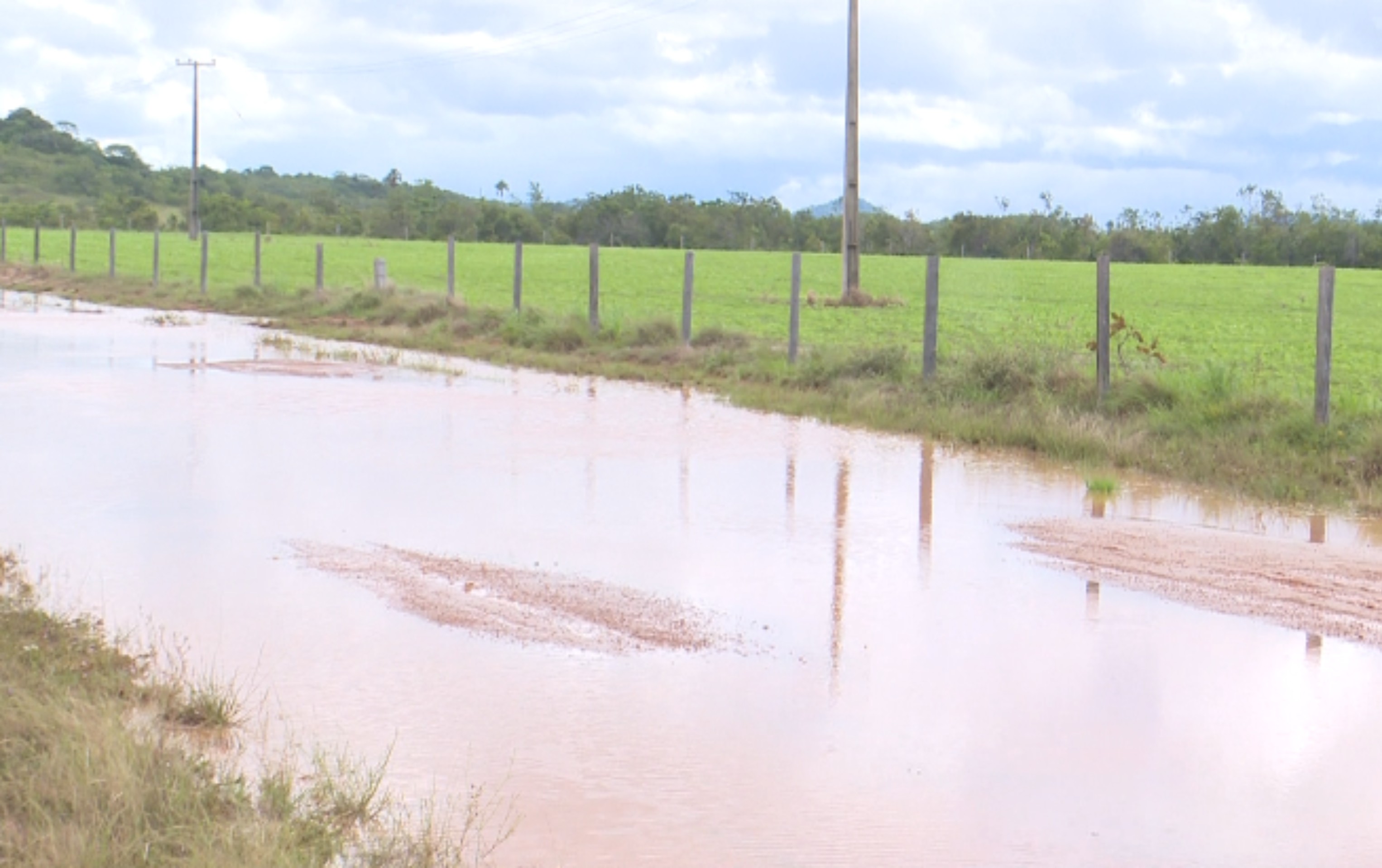 Chuvas alagam plantações e causam prejuízos no campo em municípios de Roraima