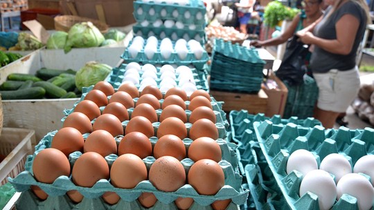 Preços de alimentos caem no atacado e podem indicar alívio no bolso no futuro - Foto: (Romildo de Jesus/Estadão Conteúdo)