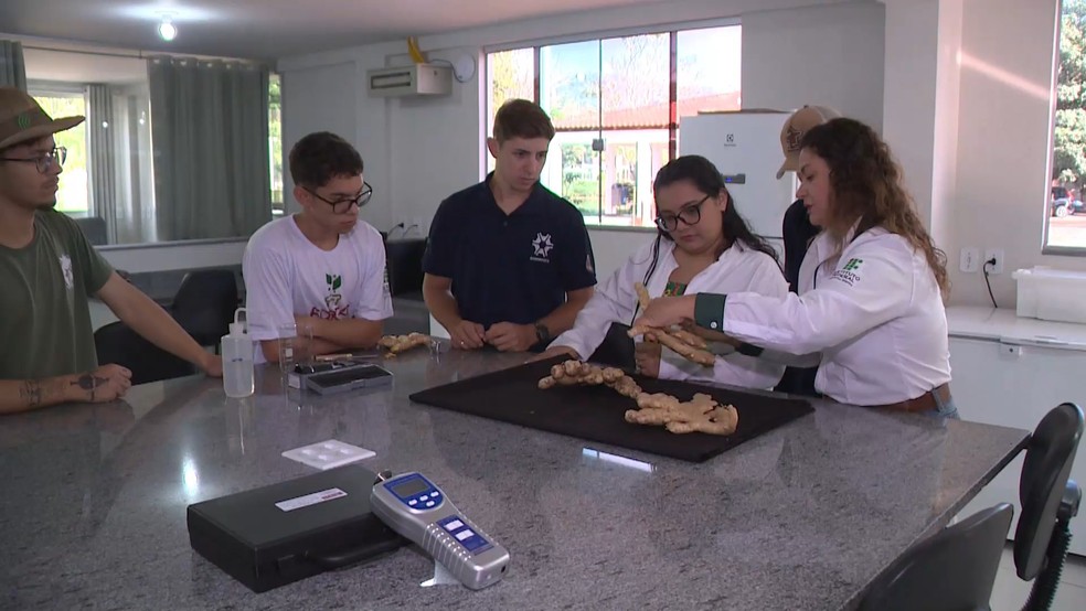 O trabalho do Alexandre despertou o interesse os pesquisadores do Ifes. — Foto: TV Gazeta