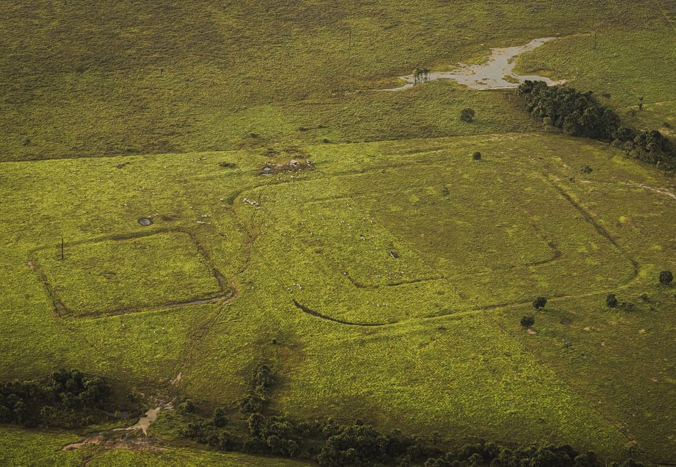 Geoglifo localizado em Boca do Acre — Foto: Valter Calheiros