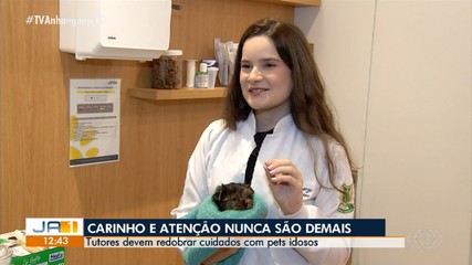 Pets idosos precisam de cuidados especiais e atenção redobrada