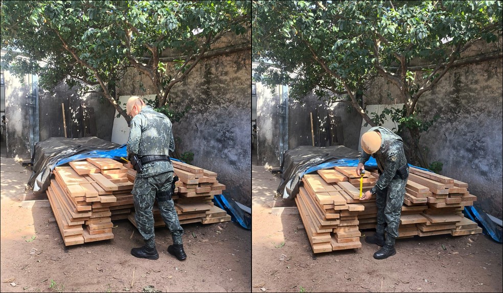 Dono de empresa de móveis é multado em R$ 2 mil por falta de licença para madeira nativa em Presidente Prudente — Foto: Policia Militar Ambiental/Divulgação