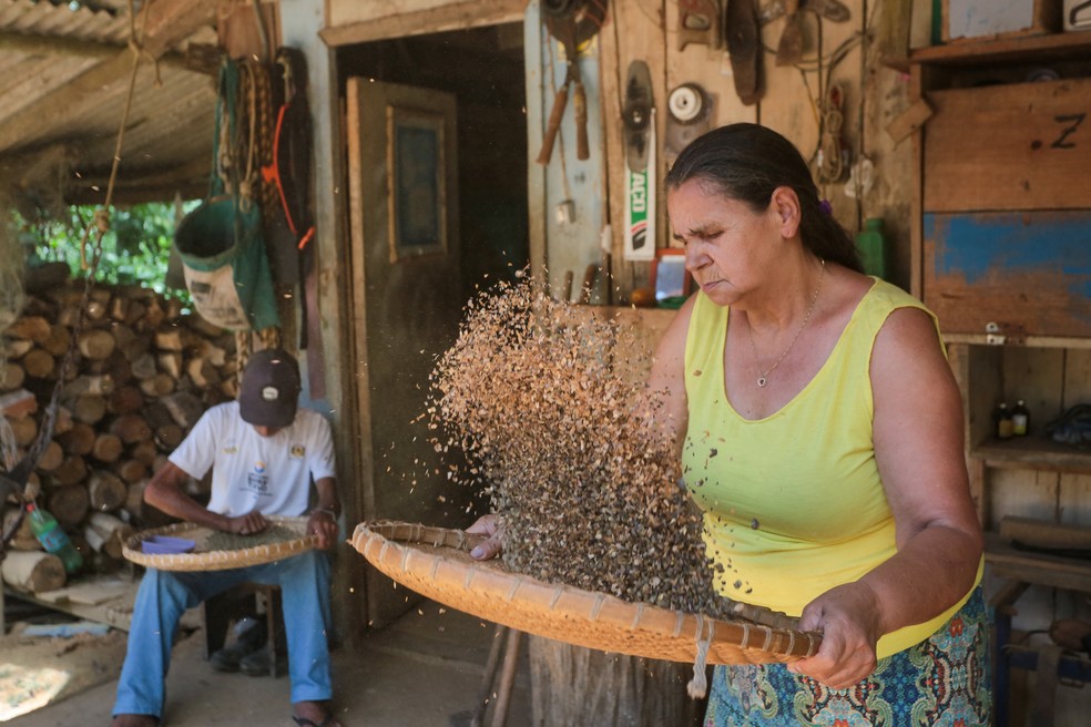 O casal de Barra do Turvo (SP) venceu a competição alcançando 91,10 pontos na categoria cereja descascado. — Foto: Divulgação/SAA