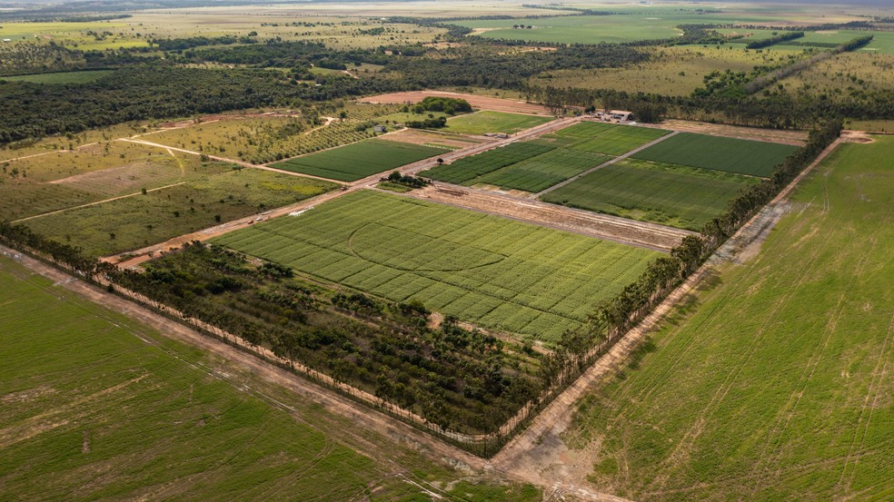 Abertas vagas de monitores para a Feira da Agricultura Familiar 2023