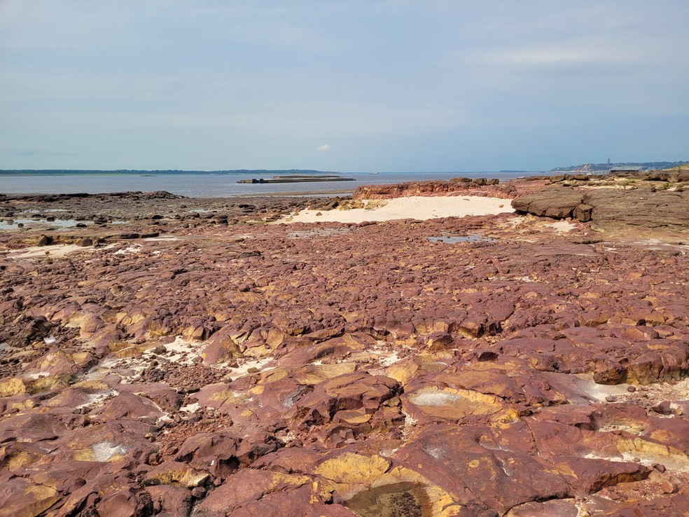 Praia das Lajes durante a seca histórica em Manaus — Foto: Hariel Fontenelle/ g1 AM